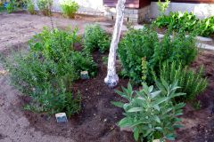 06-601-Kraeuterbeet-